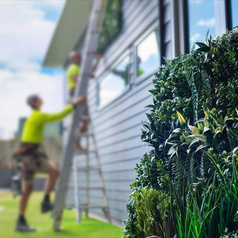 Multhana Property Services - Queensland Artificial Greenery Exterior Project