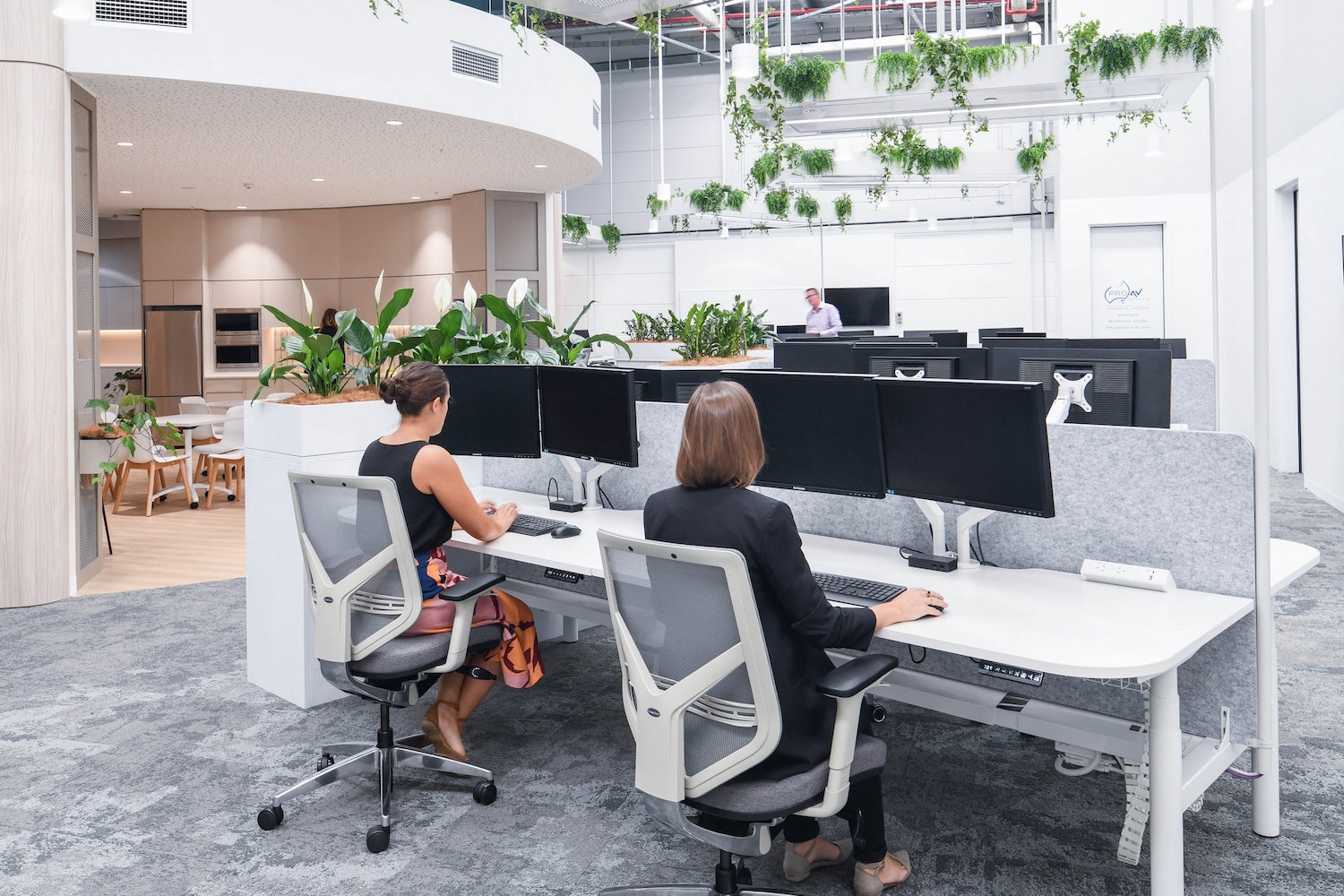 ProAV Solutions Workplace  - Evergreen Faux Greenery Office Fitout