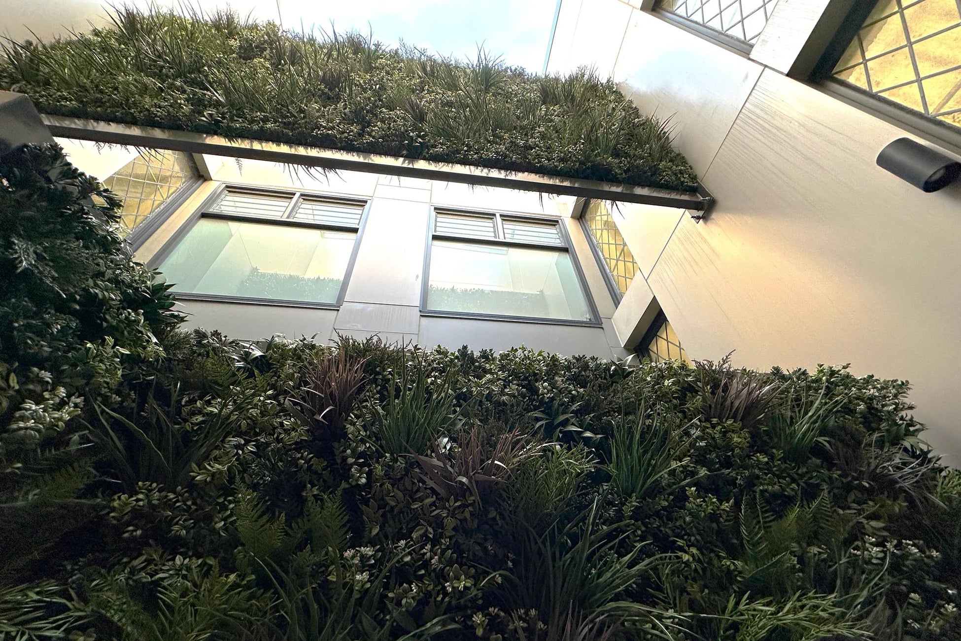 Transforming Sydney University’s Prestigious Wesley College with Evergreen Framed Green Wall Panels