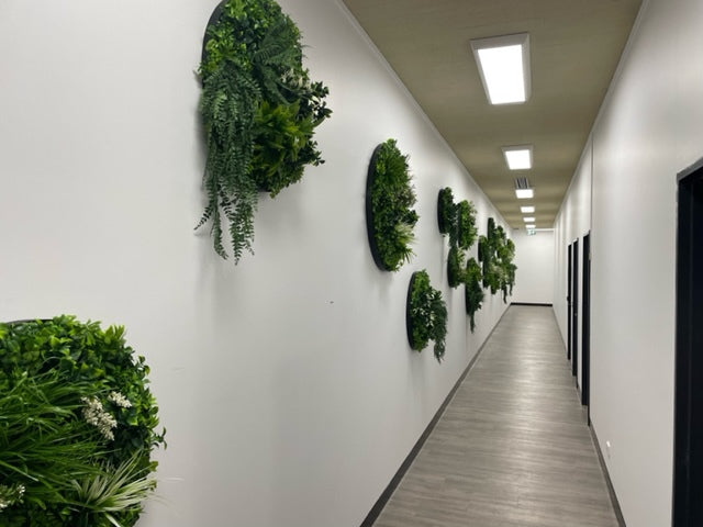 Clarence Property, Workplace Hallway Faux Green Disc Installation