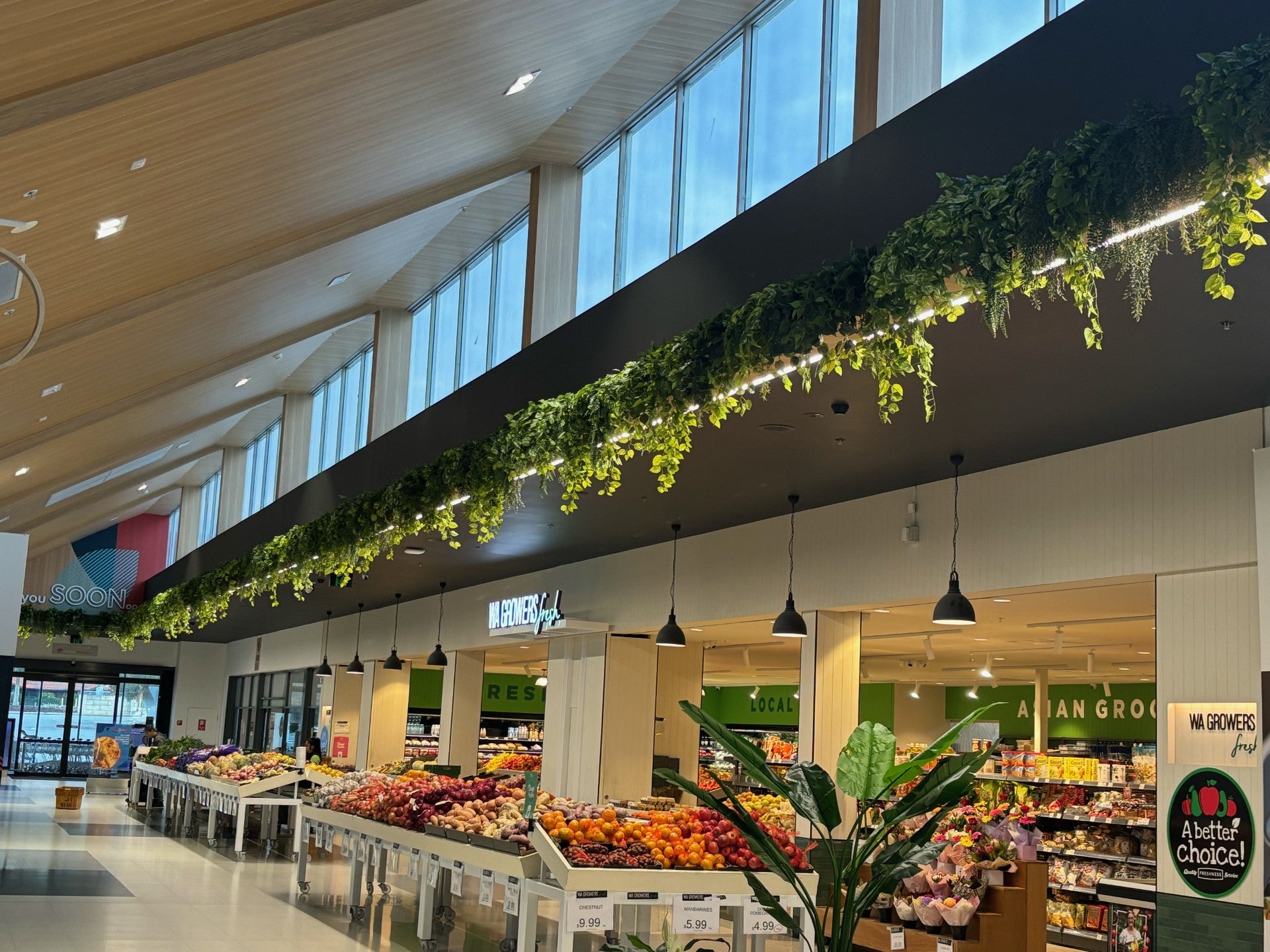 Hanging Greenery, Pot Planter Features at Kwinana Marketplace Shopping Centre, Western Australia