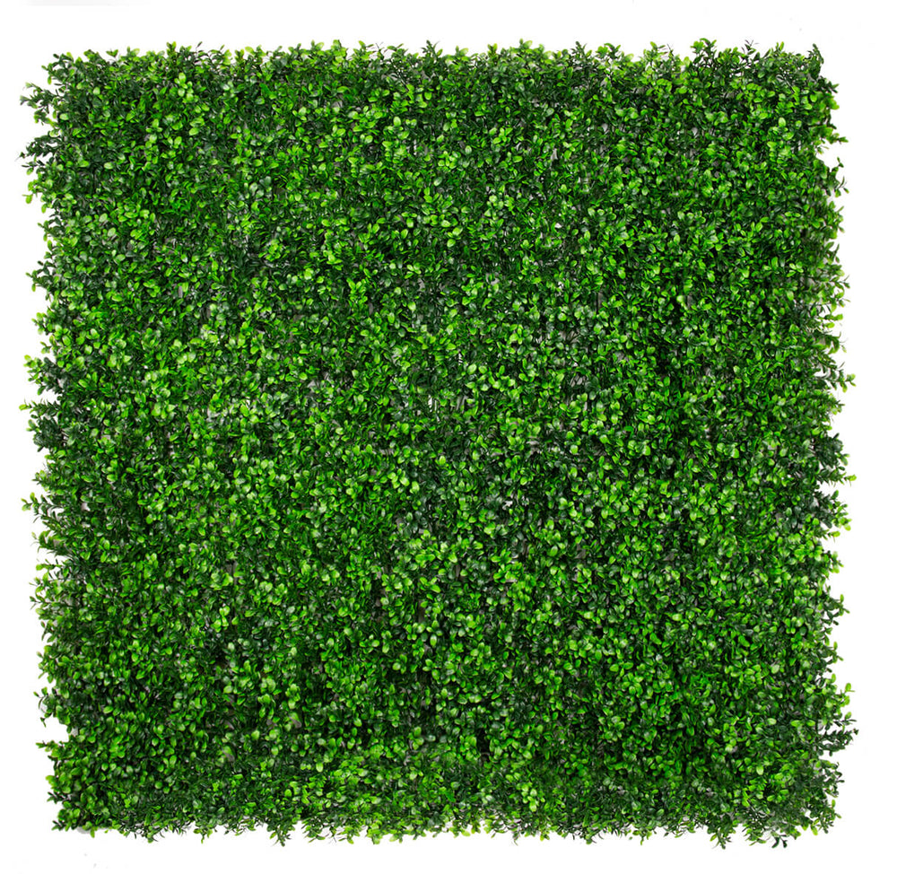 Classic Boxwood Artificial Green Wall