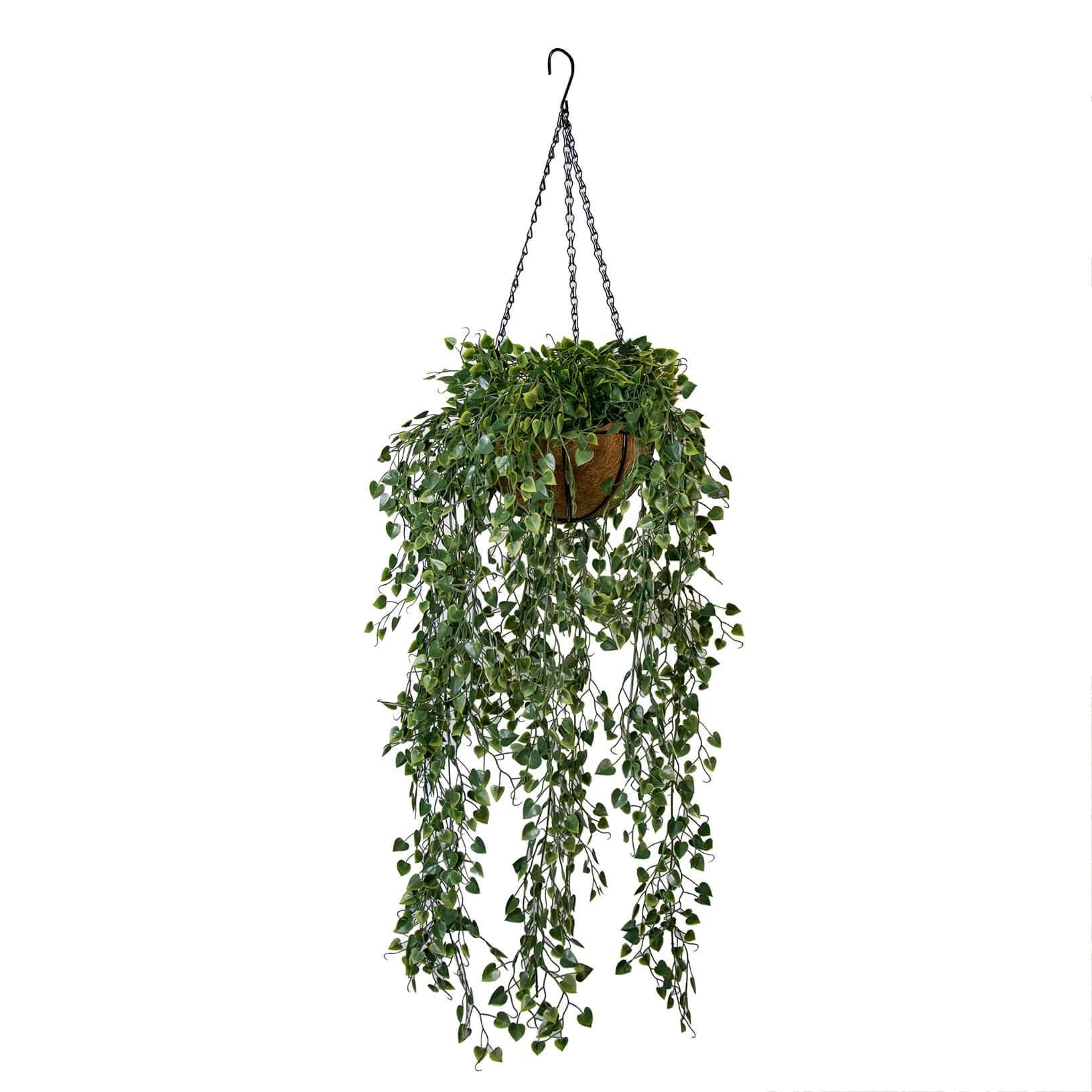 Angel Vine Hanging Basket (UV)